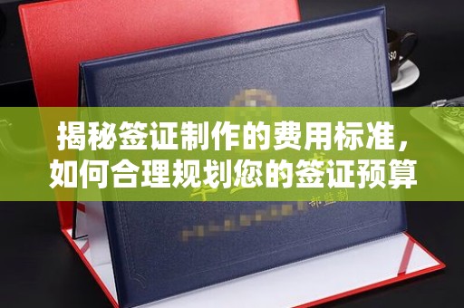 武宁揭秘签证制作的费用标准，如何合理规划您的签证预算