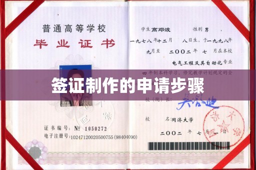 武宁签证制作的申请步骤