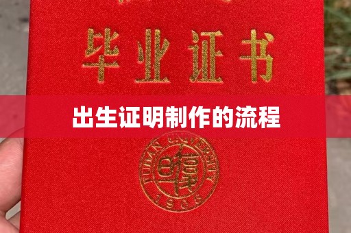武宁出生证明制作的流程