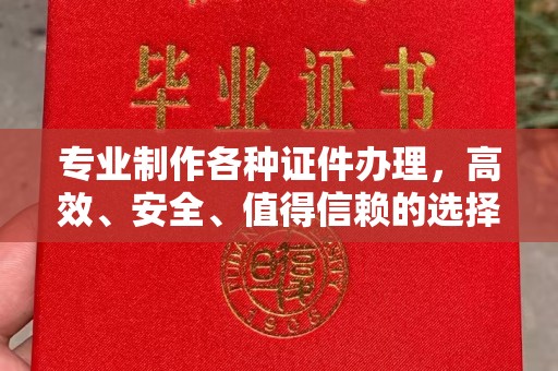 武宁专业制作各种证件办理，高效、安全、值得信赖的选择