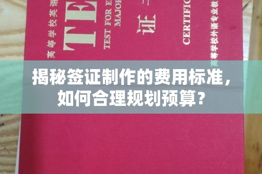 武宁揭秘签证制作的费用标准，如何合理规划预算？