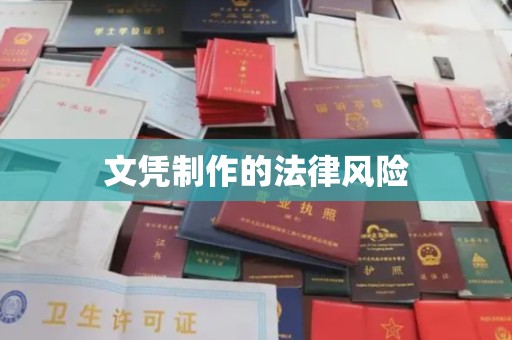 武宁文凭制作的法律风险