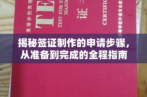 武宁揭秘签证制作的申请步骤，从准备到完成的全程指南