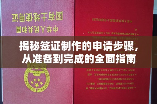武宁揭秘签证制作的申请步骤，从准备到完成的全面指南