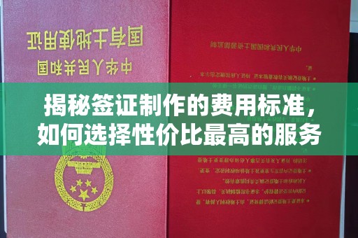 武宁揭秘签证制作的费用标准，如何选择性价比最高的服务？