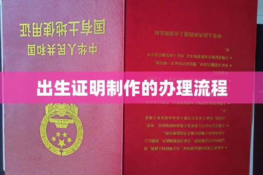 武宁出生证明制作的办理流程