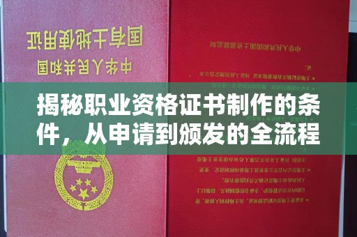 武宁揭秘职业资格证书制作的条件，从申请到颁发的全流程解析